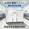 Máquina de Brotes de Cacahuete Equipo de Cultivo de Brotes de Cacahuete Maquinaria Totalmente Automática para Brotes de Cacahuete Máquina Comercial de Brotes de Cacahuete