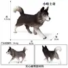 Modelos de Animales Realistas: Doberman, Golden Retriever, Perro de Peluche, Husky, Collie - Adornos para Coche y Juguetes para Niños