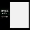 Papel para Muestras de Hojas Encapsuladas Profesional para Encuesta de Fitoterapia 8K16K Portamuestras de Plantas Papel Absorbente de Hojas Encapsuladas Papel para Muestras de Plantas