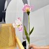 2 Iris Alice Casamento Flor Decoração Simulação Flor Estilo Natural Fresh Home Placement Irlanda