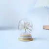 Árvore de Cristal Natural Transfronteiriça, Flor Eterna, Cobertura de Vidro, Árvore da Fortuna de Cristal, Pilar de Cristal, Aglomerado de Cristal, Enfeites de Decoração para Casa
