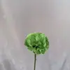 Flores Artificiales de Clavel de Rama Única Pequeñas al por Mayor para Modelado de Atmósfera en Centros Comerciales, Accesorios de Decoración