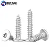 Colección de Tornillos Torx Antirrobo: Tornillos Autorroscantes Torx de Cabeza Plana, Acero Inoxidable 304 Tornillos Autorroscantes Torx Internos