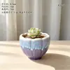 Vaso de flores carnudo Cerâmica Jardinagem Cerâmica Mini Novo Grés Criativo Vintage Casa Novo Pote de Porcelana Pote