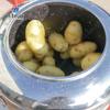 Venta Directa de Fábrica Máquina Peladora y Limpiadora de Papas, Máquina Peladora de Acero Inoxidable para Taro y Camote, Máquina Peladora de Melón y Frutas