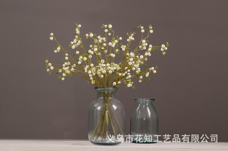 2-3白色安迪小白果.jpg