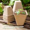Bandejas Biodegradáveis Descartáveis de Polpa de Papel para Mudas de Grama de Gato, Alface, Pimenta, Melancia, Estacas de Suculentas, Copos para Mudas com Terra