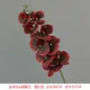 Flores Artificiales Phalaenopsis para Boda, Flores de Boda, Ramos de Flores Secas para el Hogar, Plantas Verdes Artificiales de Alta Gama, Decoración con Flores Artificiales