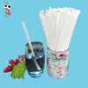 Canudos Descartáveis Absorventes de Água, Embalados Individualmente, Biodegradáveis de PLA de Amido de Milho, Ecológicos, Resistentes ao Calor, Adequados para Chá de Leite em Temperatura Regular