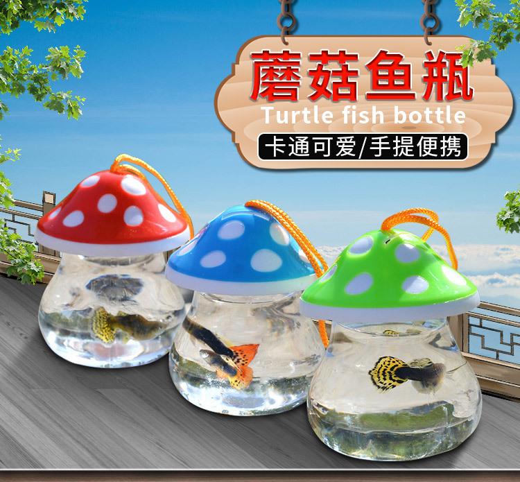 蘑菇_01.jpg