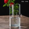 Florero Hidropónico para Plantas Tubo de Vidrio de Borosilicato Alto Maceta para Flores Florero para Arreglos Florales Botella Paisaje de Musgo Florero de Vidrio Recto