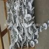 Raspador transportador de corrente de tubo Hebei/raspador transportador de corrente de tubo \Binzhou