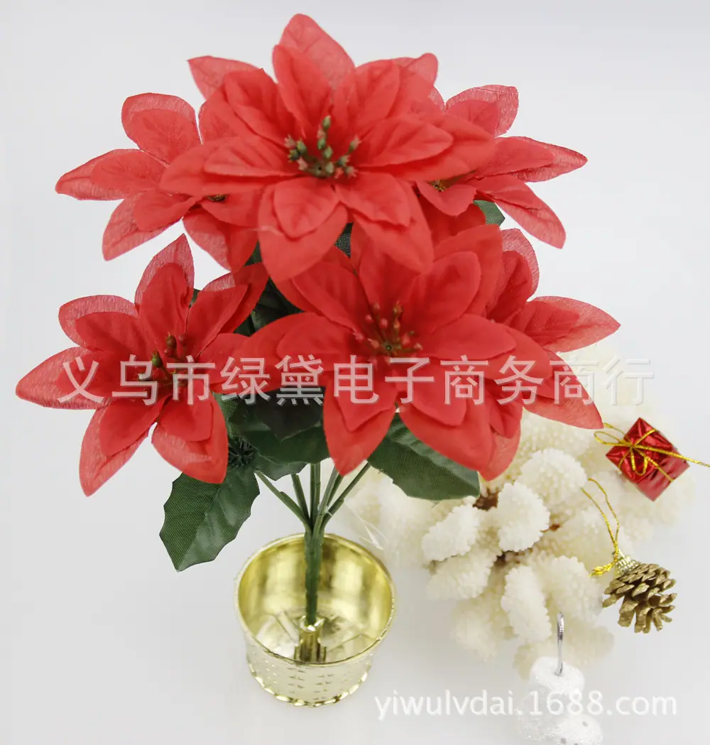 圣诞花