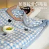 Manta Raschel de camada dupla e espessa para outono e inverno, adequada para quartos de dormitório, cochilos de estudantes, decoração de sofá e como um cobertor quente.
