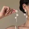 Rama de Flor Sueño Flotante Pendientes Súper Hada con Circonita Brillante Color Rosa Pendientes Largos con Borla Lujo Ligero Pendientes Elegantes de Alta Gama para Mujer