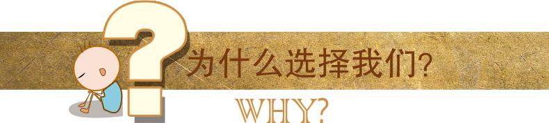 为什么选择我们 标题.jpg