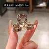 2026 Clip Pequeño Transparente con Incrustaciones de Diamantes y Flores Frescas para el Cabello, Accesorio de Moda para el Cabello, Pinza Elegante Versátil para la Parte Lateral de la Frente para Flequillo de Mujer