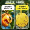 Bolas Armadilha para Moscas, Extra Pegajosas, Impermeáveis, para Moscas-das-Frutas Grandes, Vespas, Pomares de Melão, Estufas, Bolas Pegajosas para Insetos, Amarelo-Verde, Disponíveis para Atacado Transfronteiriço de Fabricantes