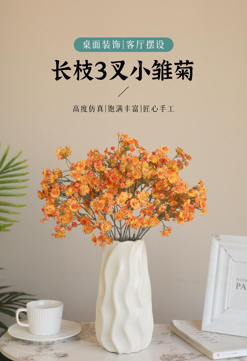 长枝3叉小雏菊_01.jpg
