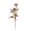 65cm Borde Enrollado Flor de Rosa Hoja de Eucalipto Rama Adorno de Decoración para el Hogar Accesorio para Fotografía de Bodas