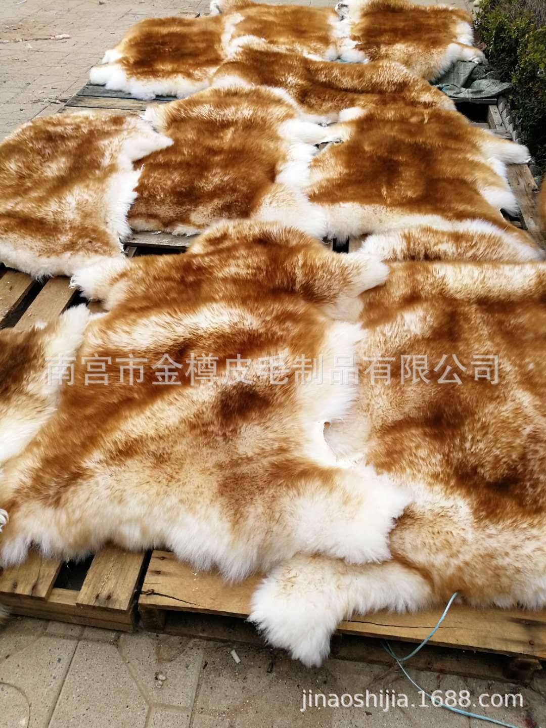 微信图片_20200814150348