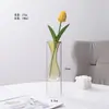 Florero de vidrio de color de doble capa pieza de exhibición hidropónica sentido de doble capa transparente cultivo de agua arreglo floral recipiente para flores hidropónicas botella difusora otro