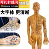 Cuerpo Humano Meridiano Punto de Acupuntura Ultra Claro Latón Meridiano Modelo Humano Masculino y Femenino Medicina Tradicional China Cobre Humano Acupuntura Punto de Acupuntura Texto