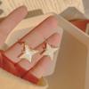 Design Sense Mang Star Brincos Coreano Estilo Frio Nicho Estrela Brincos Femininos Celebridade da Internet Elegante Simples Moda Joias de Orelha