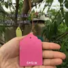 Etiquetas de Plástico Etiquetas de Jardim Etiquetas para Plantas de Jardim Etiquetas para Mudas Etiquetas para Pendurar (com barbante)