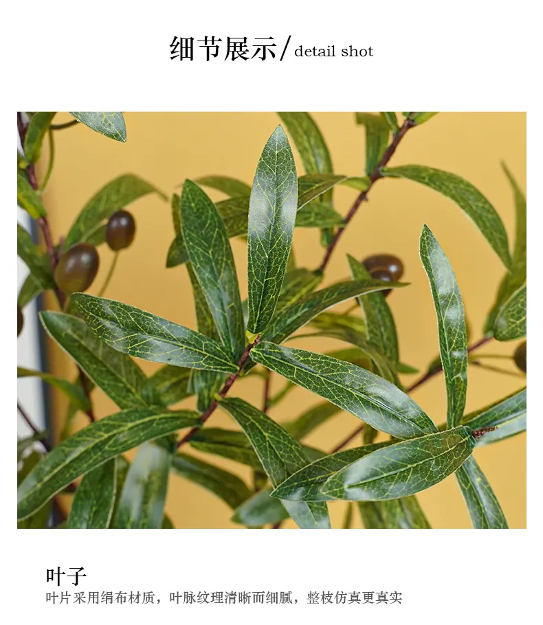 罗加4叉橄榄带果_14.jpg