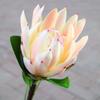 Manga estilo europeu flocado grande flor imperial sala modeloProps de fotografia macios Princesa atacado