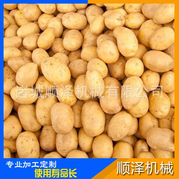 土豆清洗机图片1