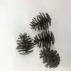 Pinha Plástica Simulação de Pinha Decorações de Natal Decorações de Árvore de Natal Acessórios para Artesanato de Natal Acessórios DIY