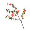 Fruta da Sorte de Romã Simulada Decoração de Casamento Arranjo de Flores para Sala de Estar Caqui Fruta Flor Artificial Galho Combinação Buquê