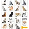 Adesivos de Transferência a Frio Ursinho Fofo em Aquarela para Copos de Vidro, Vasos de Flores, Cadernos, Decoração DIY, Adesivos Criativos Feitos à Mão