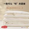 Japão Exportações de Algodão Cru Algodão Lavado Fibra de Soja Verão Colcha Fria Colcha de Ar Condicionado Primavera e Outono Colcha Única Colcha de Inverno Núcleo Colcha de Verão