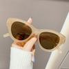 2026 Novos Óculos de Sol Femininos da Moda Olho de Gato, Óculos de Sol para Proteção Solar, Anti-UV, Fotografia de Rua, Óculos da Moda para Viagem Jt9006