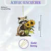 Adornos Colgantes Creativos Sol Pequeño Decoración para el Hogar Atrapador de Animales Plano Amazon Colgantes Decorativos Acrílico Varios Diseños de Osos