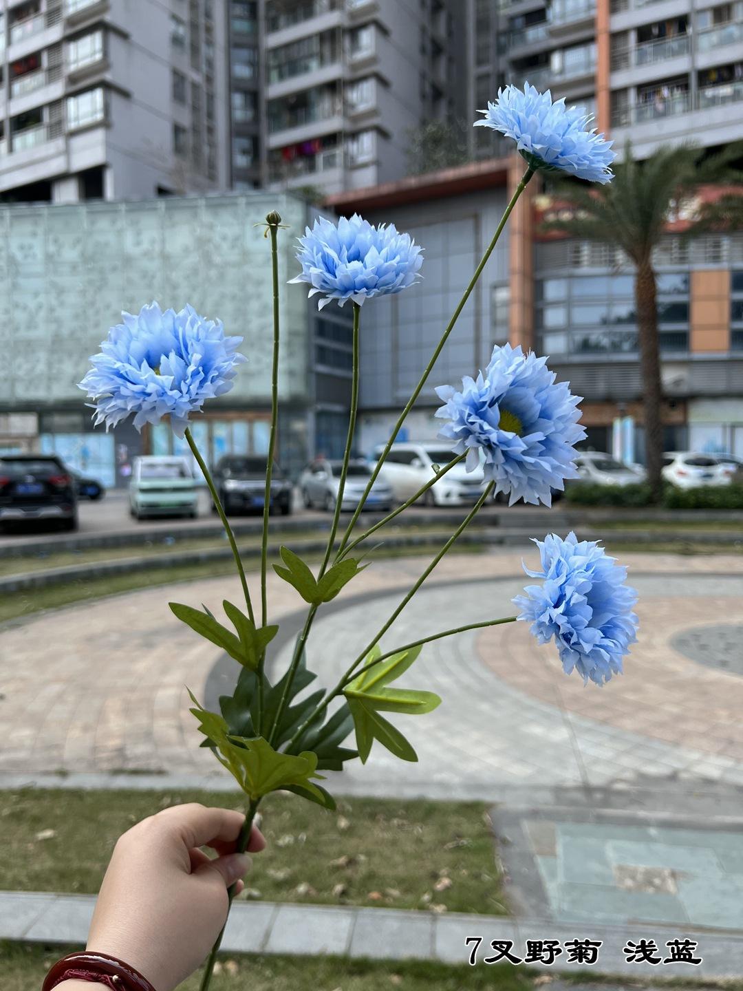 微信图片_20220304112317.jpg