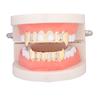 Distribución transfronteriza de accesorios de hip-hop europeos y americanos, disfraces hipster, colmillos huecos, dientes de oro, aparatos de hip-hop para Halloween.