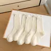 Meias Femininas de Cor Sólida para Primavera e Verão, Meias Finas de Renda Vazada na Cor Creme, Meias Mesh Respiráveis da Moda