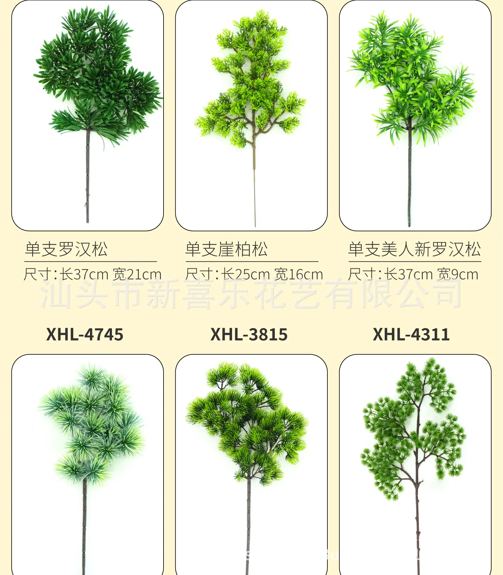 ]罗汉松详情页-10.jpg