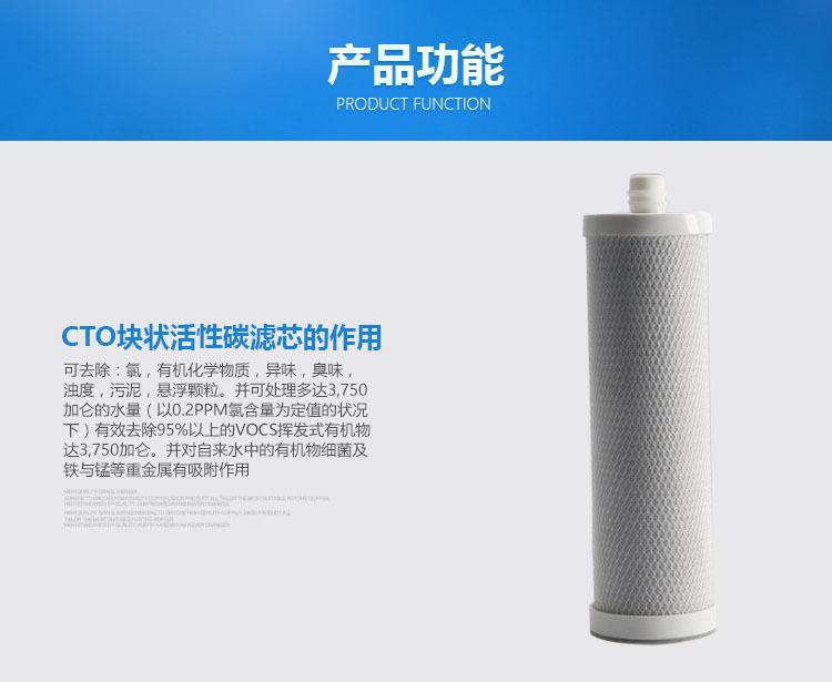 插入式压缩碳滤芯10