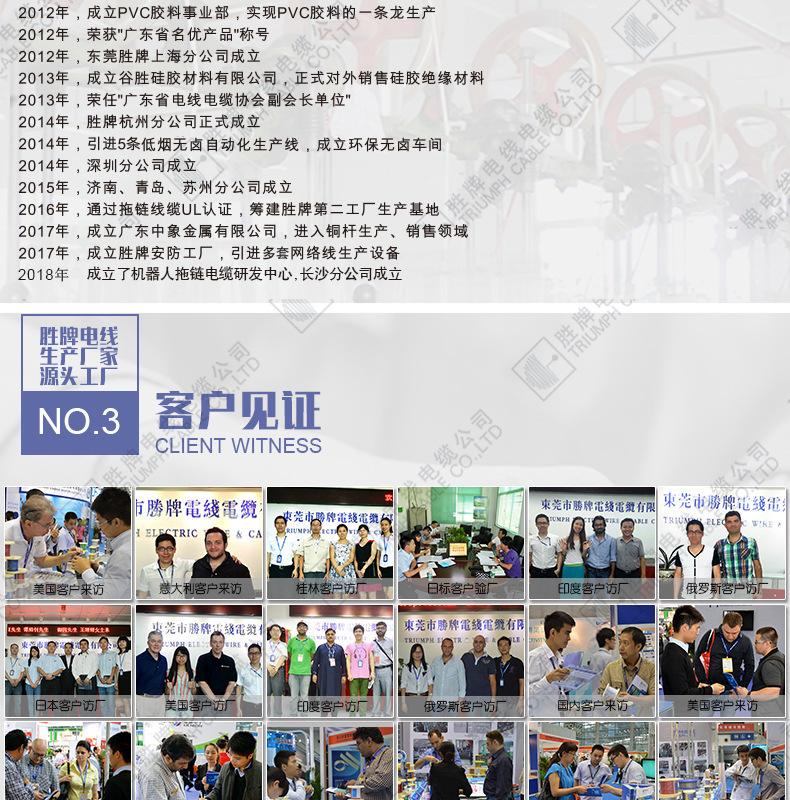 公司介绍_06.jpg