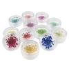 Joyería para uñas traje de flor seca grande 12 colores decoración flor tridimensional uñas pegatinas de plantas doce rejillas flores reales
