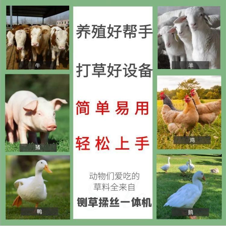 1903d5952d81f58248e5e254049405