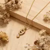Colar de Corrente para Clavícula D Brand de Alta Qualidade com Letras CD, Nariz de Porco e Pingente de Borla, Moda de Luxo Leve, Venda por Atacado