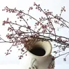 Materiales de Rama de Flor Eterna para Arreglos Florales de Estilo Chino con Ramas de Fruta Seca para Decoración de Interiores del Hogar