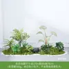 Simulación Planta Verde Paisajismo Planta Paisaje Combinación Adornos Exterior Maceta Alta Gama Lujo Ligero Flor Artificial Interior Piso Maceta