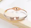 El Tesoro de la Tienda, Pulsera Popular Transfronteriza de Acero de Titanio, Colección Estilo Europeo y Americano, Lujo Ligero, Versátil y a la Moda, Precio de Fábrica, Dropshipping